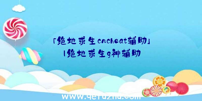 「绝地求生cncheat辅助」|绝地求生g神辅助